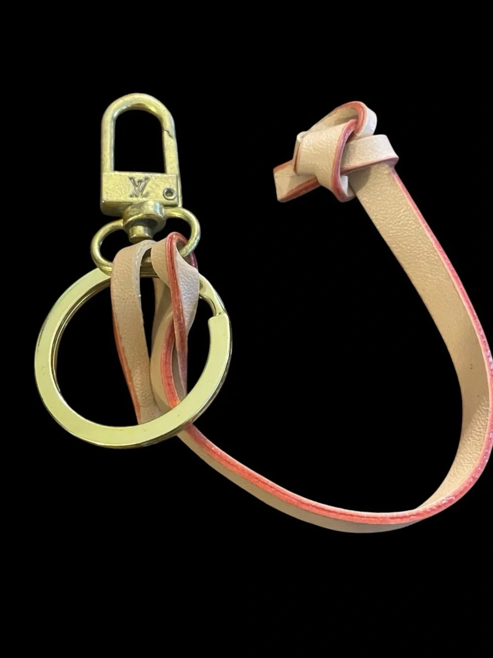 Louis Vuitton elegant leather